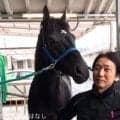 【装蹄師・西内荘コラム】装蹄競技会の思い出と夏競馬への準備