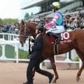 【競馬予想】タフな馬場が想定される安田記念　総合力あるパンジャタワーが有力も、馬力ある伏兵の大駆けにも要注意