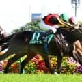 【競馬予想】王者不在の安田記念　トレセンで評判の人気馬と穴馬候補「マイラーズＣの負け組が不気味」