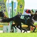 【競馬予想】安田記念で絶対に外せない「東京・芝1600ｍ」に強い血 本命・対抗も同じ牝系の馬を狙う