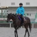 【安田記念・土曜気配】シックスペンスがレース前日に異例のしまい１ハロン１２秒１　攻めの姿勢で大駆け狙う