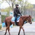 【注目馬動向】素質馬が再び重賞戦線へ　都大路Ｓ完勝のガイアメンテは小倉記念を目標　札幌２歳Ｓでは１番人気の素質馬