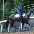 【安田記念・土曜気配】関西馬で１番乗り！ワールズエンドは「道中は落ち着いていたし、飼い葉も食べて」東京競馬場に到着