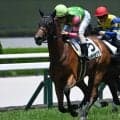 【阪神5R新馬戦結果】西の一番星はキタサンブラック産駒ジーティーサクラ