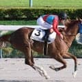 土曜東京競馬場の注目激走馬…東京１１Ｒ麦秋ステークス