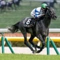 【JRA・WIN5】本日のWIN5は的中115票、配当315万9870円