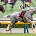 【安田記念予想】高齢馬の苦戦が目立つ春のマイル王決定戦！ 前走の内容にも不満が残る軽視すべき人気馬