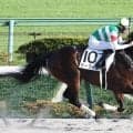 ようやく覚醒した外国産馬に「別格すぎ」「反則的な強さ」　東京最終で圧勝したザーフィルが惜敗続きにピリオド