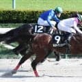 【麦秋Ｓ】ディー騎手も「タフな馬。今後が楽しみ」と高評価　メリディアンスターが３連勝でオープン入り