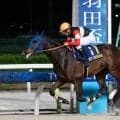【東京ダービー】二冠かかるフィンガーなどJRA馬は4頭