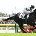 「噂通りの強さ」「普通じゃないなこれ」新馬戦開幕週を３３秒３の末脚で勝ったフィリオソラーレにＳＮＳ高評価