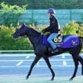 【安田記念】昨年１７着のトロヴァトーレが３連勝でＧ１制覇狙う　鹿戸調教師が挙げた１年前との違いとは？