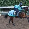 【日曜注目】あの最優秀３歳牝馬の弟が砂上で無傷の２連勝狙う　４馬身差圧勝の初戦から約半年