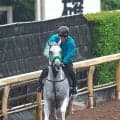 【安田記念】混戦模様で馬連、３連単ともオッズは割れ気味　前日の単勝１番人気はガイアフォースの２・６倍　