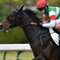 全姉は名牝リスグラシュー エボルヴィングが2連勝なるか