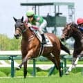 トラッキングシステム対象レース拡大初日に衝撃の数値！「ＧＩでも見た事ない」　ジーティーサクラ鬼脚にネット驚嘆