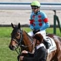 半姉はエンブロイダリー バートラガッツが無傷2連勝なるか