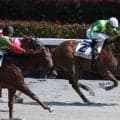 【東京8R】13番人気サファイアテソーロが大波乱…3連単150万円超の高配当決着