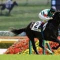 【新馬/東京5R】断然人気フィリオソラーレが鮮やかデビューV…1.3倍の支持に応える