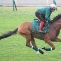 【コロネーションＣ】まさか…カランダガンが４０馬身以上の大差で敗れる　荒天で末脚不発の４着　Ｇ１・５連勝でストップ