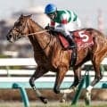 霜降り明星・粗品はレーベンスティールで勝負「ここで勝たなければいつ勝つ」