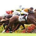 【東京４Ｒ・２歳新馬】ルメール騎手がラードンチェイスを東の一番星に　続く５ＲもＶ導く