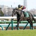 【安田記念予想】スピードと瞬発力問われる東京マイル 馬場状態もカギ握るGI