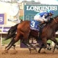 【メトロポリタンＨ】「強い！トップハンデ関係なし！！」ナイソスが４馬身差の圧勝　サウジＣではフォーエバーヤングに続く２着