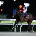 【大井・東京ダービー枠順】1着賞金1億円をかけた春の3歳ダート王決定戦 二冠狙うフィンガーは6枠12番