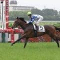 【阪神５Ｒ・２歳新馬】「理想的な競馬」ビスケットサンドが外から抜け出す　北村友一騎手は新馬戦開幕２日連続Ｖ