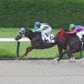 新たな冒険は大成功！「ハイラル城…」「トライフォースの力」牝馬ゼルダが逃げ切りＶでＳＮＳ大盛り上がり　阪神４Ｒ