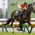 【JRA・WIN5】本日のWIN5は的中208票、配当287万4500円