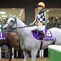 【安田記念】１２度目も…１番人気ガイアフォースは写真判定の末、首差２着　Ｇ１タイトルにあと一歩届かず