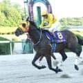【佐賀王冠賞結果】ビキニボーイが断然人気に応えて連覇達成