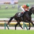 【香港JT】断然人気ゴーラッキーが完封、鮮やかな逃げ切りで3勝目