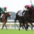 【東京8R】良血ソニックラインが2勝目をマーク…姉はソングライン
