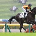 【新馬/東京5R】エフフォーリア産駒JRA初勝利！ジョドレルバンクが断然人気に応える