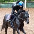【Ｇ１・１週前まとめ】クロワデュノールが春古馬３冠の偉業へ順調　斉藤崇調教師「息づかいとか大丈夫」　宝塚記念