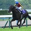 上半期の総決算・宝塚記念など3重賞/今週の競馬界の見どころ