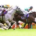 【小島太元調教師の競馬ジャーナル】シックスペンスで最年長Ｇ１制覇の武豊騎手、さすがの勝負強さ！年齢の影響なし