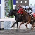 【高知・瀬戸特別】12歳馬グッドヒューマーが衰え知らずの逃走劇！宮川実も驚く鮮烈V