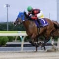 【水沢・早池峰賞】8歳ルコルセール健在、スプラウティングを競り落として勝利