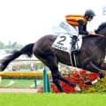 【東京５R・２歳新馬】叔父がクロワデュノールのジョドレルバンク快勝　エフフォーリア産駒が新種牡馬で一番星