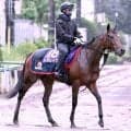 【宝塚記念・イシゴーの特注馬】Ｇ１・３勝馬レガレイラ　好相性の非根幹距離で昨年のリベンジだ！