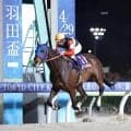 【東京ダービー】羽田盃を圧勝したフィンガーが２冠制覇へ万全の態勢　陣営「体調面や内臓面が良くなっている印象」