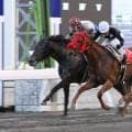 高知でベテラン馬が大活躍！１２歳馬グッドヒューマーが準重賞Ｖ　２７８戦目１７歳馬は最速末脚で１年１か月ぶり馬券圏内