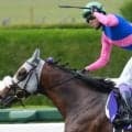 武豊騎手が宝塚記念6勝目なるか メイショウタバルで連覇狙う