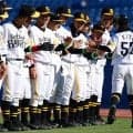 ホークスJr.選考会を6.19から実施　1次は球速100キロ超など条件…4段階で選抜
