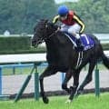 【宝塚記念想定騎手】クロワデュノールは北村友一騎手、メイショウタバルは武豊騎手