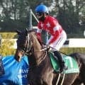 【先週のJRA抹消馬】昨年の中日新聞杯2着馬レッドバリエンテ、24年のスプリングSで2着のアレグロブリランテなど